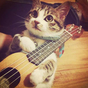 就想操老太太逼视频
